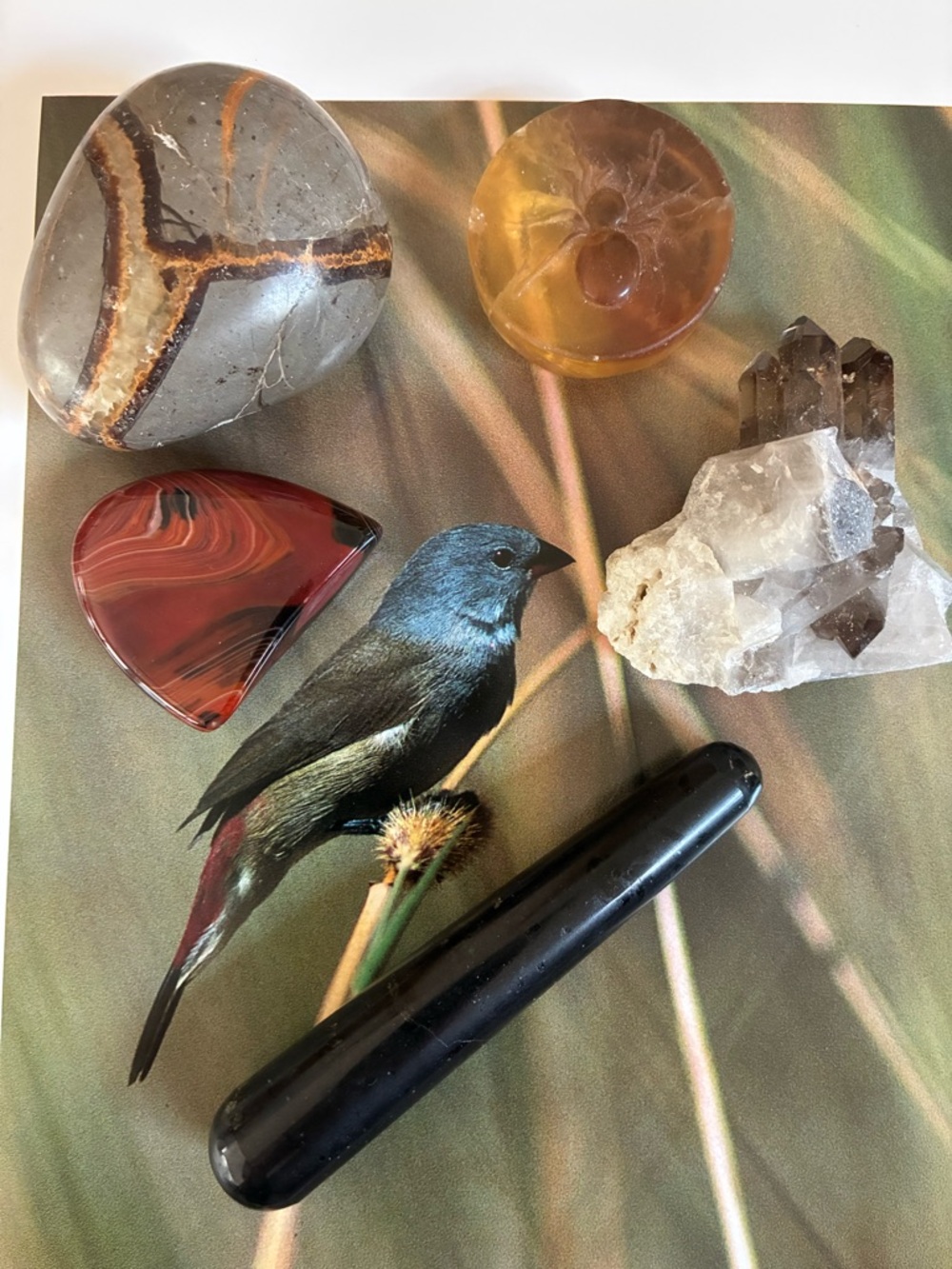 🔮 5 Piece Healing Crystal Gift Box - Serpentine Egg (includes rare crystals)⚡️🎁